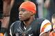 Could Oregon State wideout Bradin Cooks find his way into a 49ers uniform in 2014?