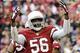 Will Karlos Dansby return in 2014?