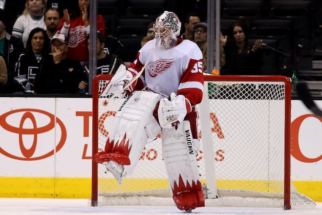 5 Detroit Red Wings Who Must Improve in 2014