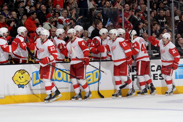 5 Positive Signs for the Detroit Red Wings' 2013-14 Playoff Hopes