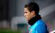 Is Tim Sherwood going to sign Ibrahim Afellay for Tottenham?
