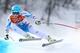 Austria's Matthias Mayer took gold in the men's downhill.