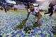 Michael Bennett