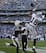 Richard Marshall defends this pass against the Raiders.