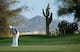 Hideki Matsuyama is very young, but very, very talented.