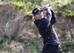 Trevor Immelman has proven that even a Masters champion can be slow.