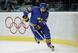 Peter Forsberg was very effective for Sweden in 2006.