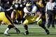 Taylor Lewan, Michigan