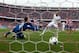 On target: Karim Benzema opened the scoring.
