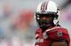 Former South Carolina DE Jadeveon Clowney