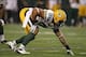 Mike Neal is an intriguing free agent for the Jags to consider.