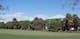 Condos that lined the 12th fairway obscured by new plantings.