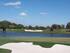 New 14th green and new 15th green.