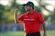 Patrick Reed leads a corps of young pros looking to pass up their elders.