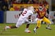 Nelson Agholor