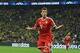 Mario Mandzukic is the top scorer in the Bundesliga this season with 17 goals.