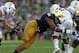 Notre Dame is a hot-spot for potential Patriots.