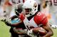 Can Andre Roberts make a giant impact on the Washington Redskins' fortunes in 2014?