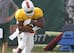 Duke Johnson