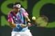 David Ferrer