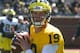 No.19 Wilton Speight