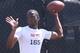 Torrance Gibson