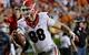 Arthur Lych, TE, Georgia