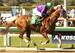 California Chrome romping in the Santa Anita Derby.