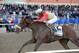 Wicked Strong winning the Wood Memorial.
