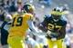 Derrick Green had a handful of positive carries during the spring game.