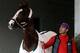 The big horse, California Chrome, Saturday's likely favorite.