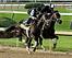 Intense Holiday dazzled Sunday morning in his final workout.