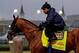 Hopperunity is trained by Bob Baffert.