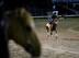 Harry's Holiday training in the morning.