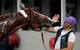 California Chrome is California cool.