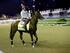 The big horse: California Chrome.