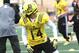 Jalen Brown