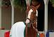 California Chrome is confirmed for the Preakness Stakes.