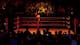 Does Kane have unfinished business with Daniel Bryan?