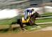 Danza is just one of many top Derby horses that could've made a splash in the Preakness.