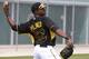 Gregory Polanco