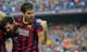 Cesc Fabregas is the subject of bids from various Premier League clubs.