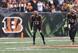 In the competition for snaps on offense, Bengals WR Mohamed Sanu (12, above) may be on the outside looking in.