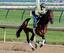 Samraat skipped the Preakness.