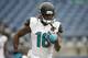 Despite a disappointing rookie season, Jacksonville's Denard Robinson remains one of the NFL's most intriguing young players.