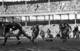 Beattie Feathers (48, far left with ball) became the first player in NFL history to rush for at least 1,000 yards in a season.