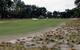Welcome to the U.S. Open at Pinehurst No. 2.