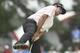 Bubba Watson was never comfortable on Pinehurst No. 2.