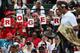Wimbledon fans cheer on Roger Federer during his opening round match.