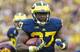 No. 27 Derrick Green